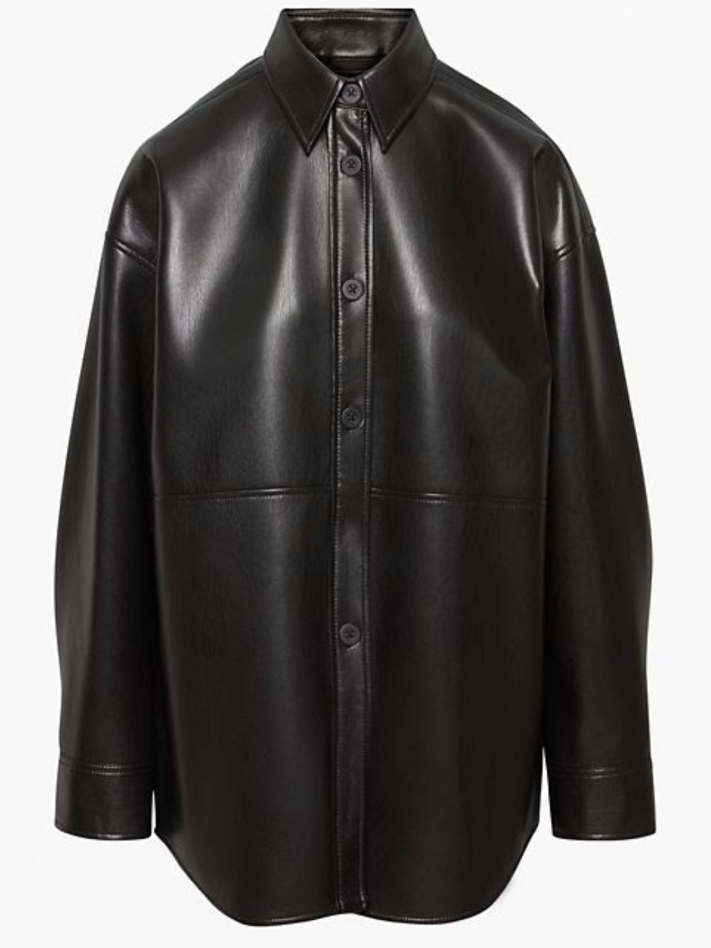 Aritzia Shirt Jacket
